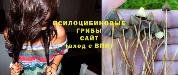 дживик Куйбышев