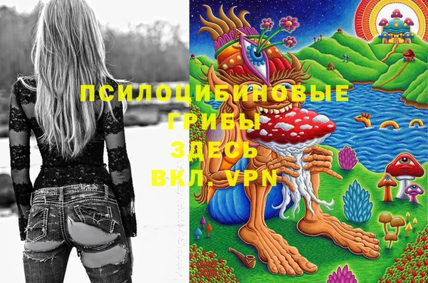 дживик Куйбышев