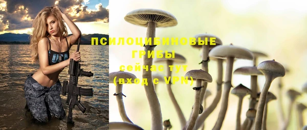 дживик Куйбышев