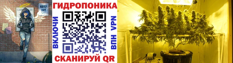 Купить закладки  Кировск  Бошки марихуана марихуана 